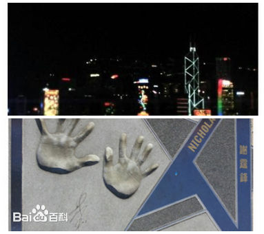 精选谢霆锋(Nicholas Tse（尼古拉斯 . 谢）)