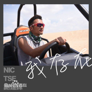 精选谢霆锋(Nicholas Tse（尼古拉斯 . 谢）)
