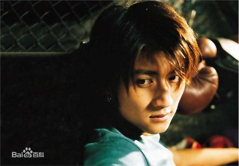 精选谢霆锋(Nicholas Tse（尼古拉斯 . 谢）)