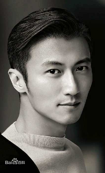 精选谢霆锋(Nicholas Tse（尼古拉斯 . 谢）)