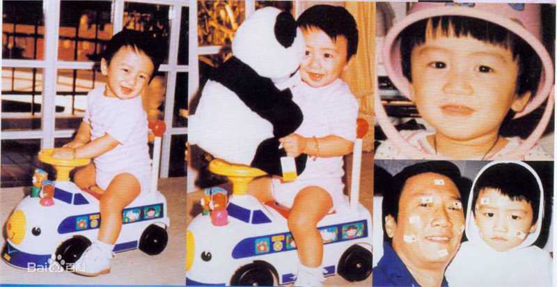 精选谢霆锋(Nicholas Tse（尼古拉斯 . 谢）)