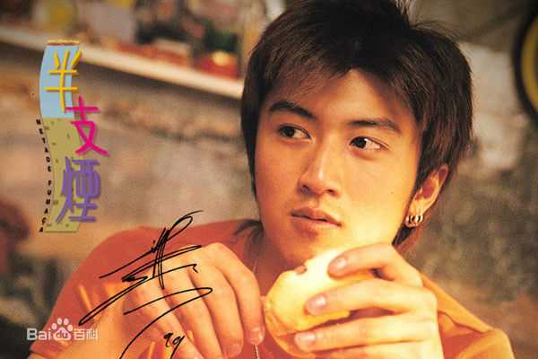 精选谢霆锋(Nicholas Tse（尼古拉斯 . 谢）)