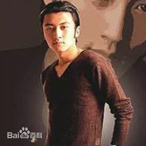 精选谢霆锋(Nicholas Tse（尼古拉斯 . 谢）)