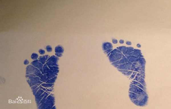 徐熙媛(Barbie Hsu)女儿汪希玥壁纸壁纸