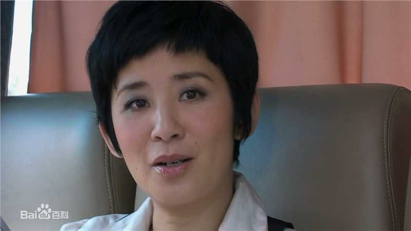 吴君如(Sandra Ng)2010年《美丽密令》剧照