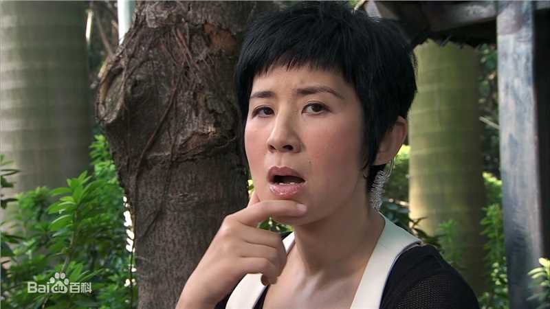 吴君如(Sandra Ng)2010年《美丽密令》剧照