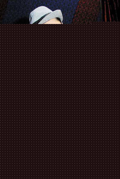 王祖蓝(Wong Cho Lam)生活照片图册