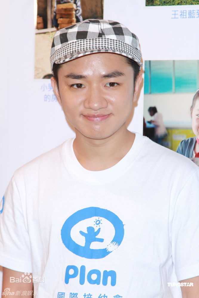 最全王祖蓝(Wong Cho Lam)精彩图册