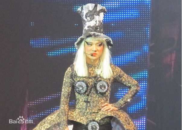 王祖蓝(Wong Cho Lam)荃加福禄寿演唱会(壁纸壁纸