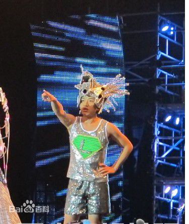 王祖蓝(Wong Cho Lam)荃加福禄寿演唱会(壁纸壁纸