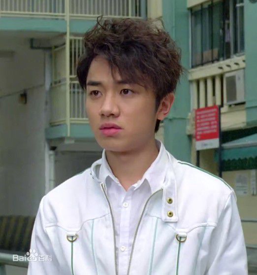 最新王祖蓝(Wong Cho Lam)精彩图册