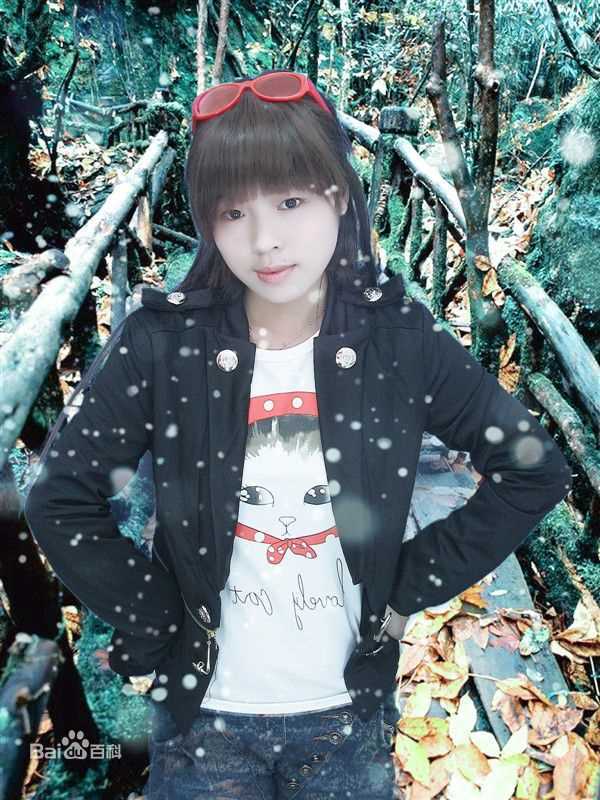 最新王祖蓝(Wong Cho Lam)精彩图册