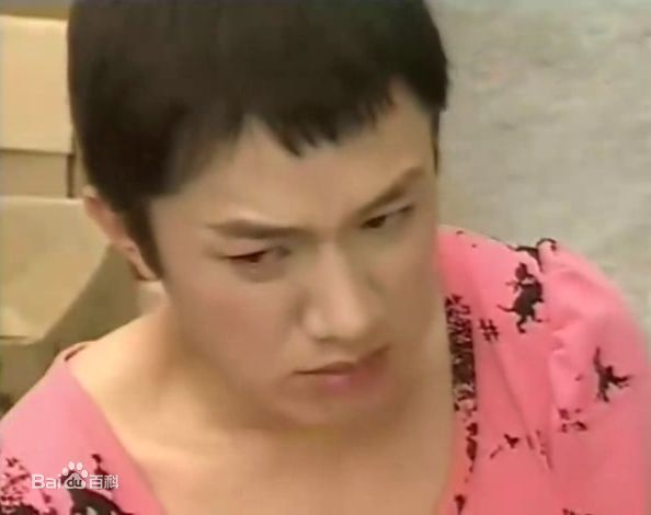 最新王祖蓝(Wong Cho Lam)精彩图册