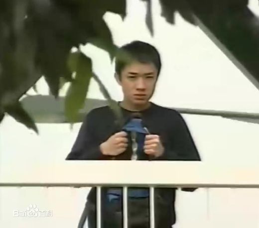 最新王祖蓝(Wong Cho Lam)精彩图册