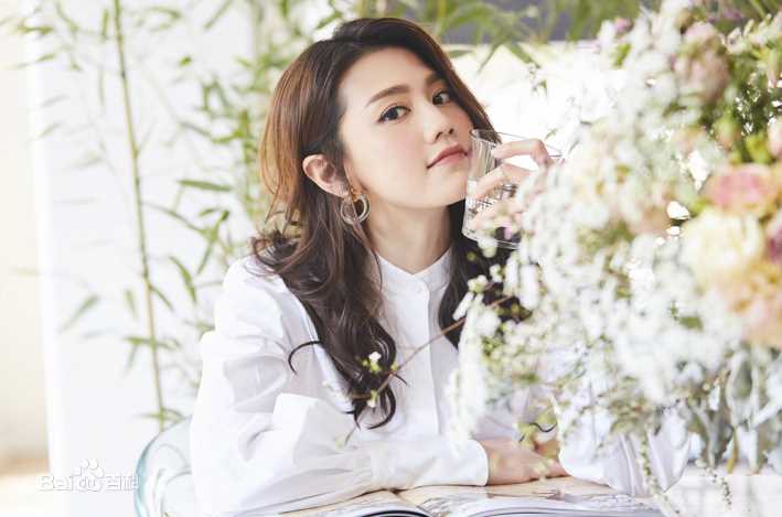 周秀娜(Chrissie Chau)概述图册壁纸壁纸