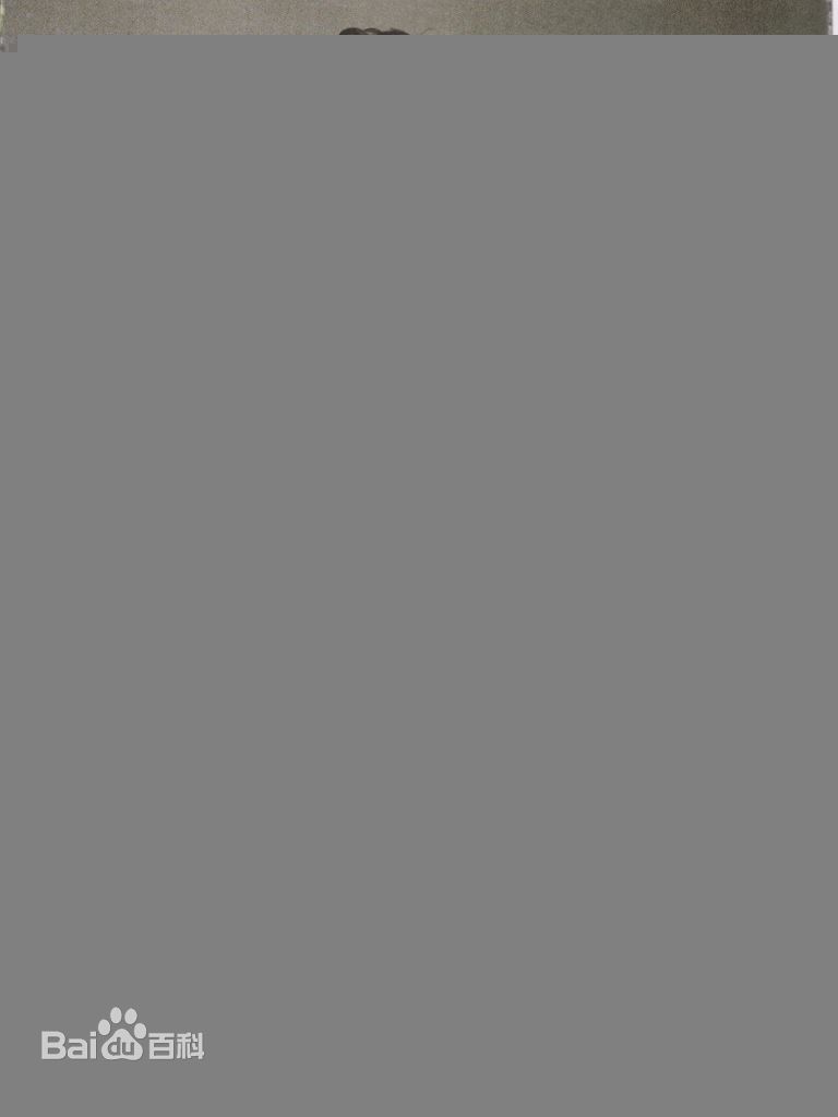 最优质陈奕迅(Eason Chan)精彩图册