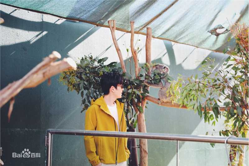 朱一龙(Zhu Yilong)最全《DEPART》相册