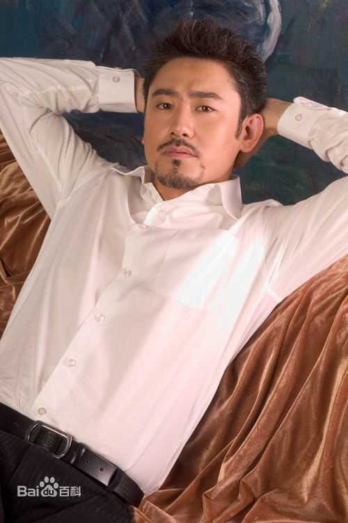 吴秀波早年经历图册