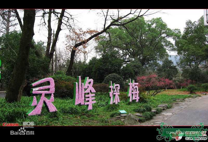 最优质吴秀波精彩图册