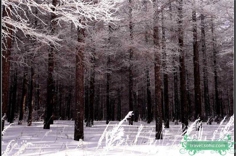 最优质吴秀波精彩图册