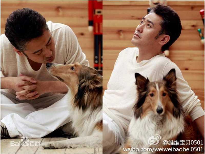 高清吴秀波精彩图册