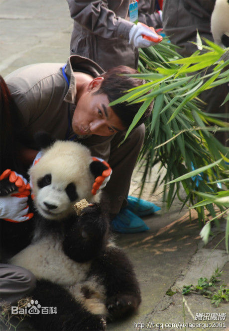 焦恩俊(Vincent Chiao)爱心公益活动前后照片