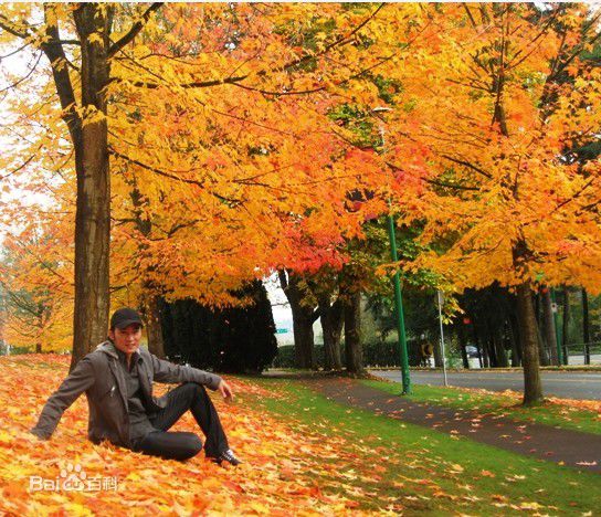 焦恩俊(Vincent Chiao)生活中的壁纸壁纸