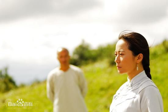 俞飞鸿(Faye Yu) 剧照