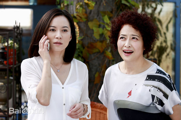 俞飞鸿(Faye Yu) 剧照