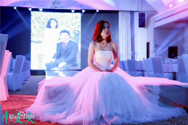 俞飞鸿(Faye Yu) 剧照