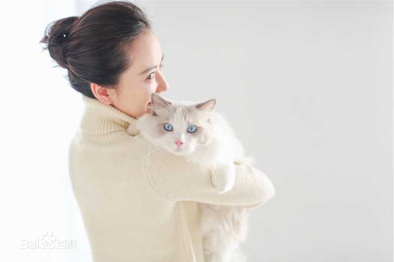 俞飞鸿(Faye Yu)高清杂志大片图集