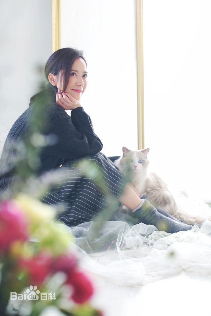 俞飞鸿(Faye Yu)高清杂志大片图集