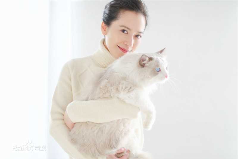 俞飞鸿(Faye Yu)高清杂志大片图集