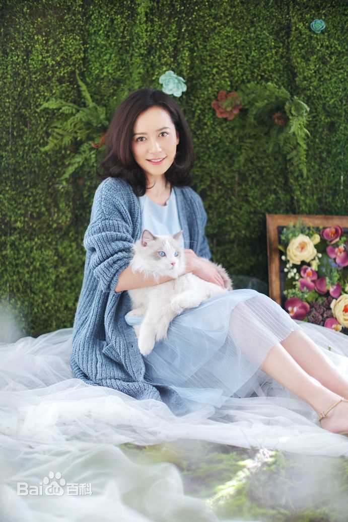 俞飞鸿(Faye Yu)高清杂志大片图集