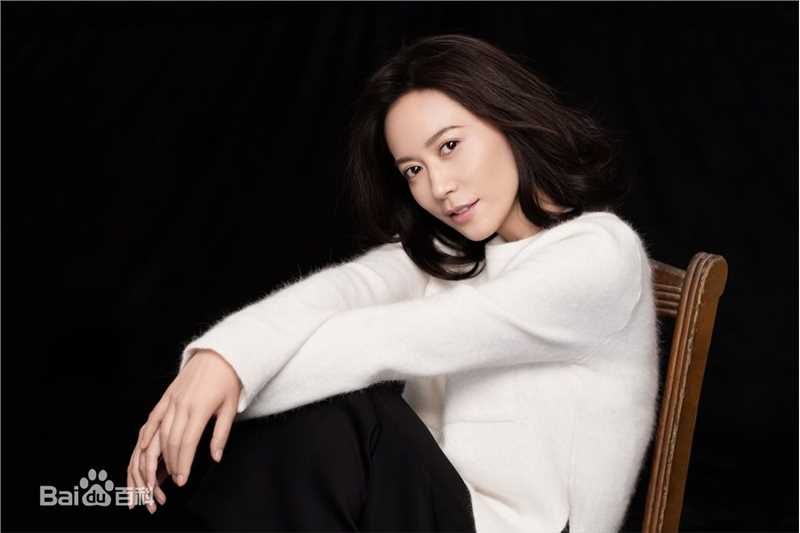 俞飞鸿(Faye Yu)精选图册