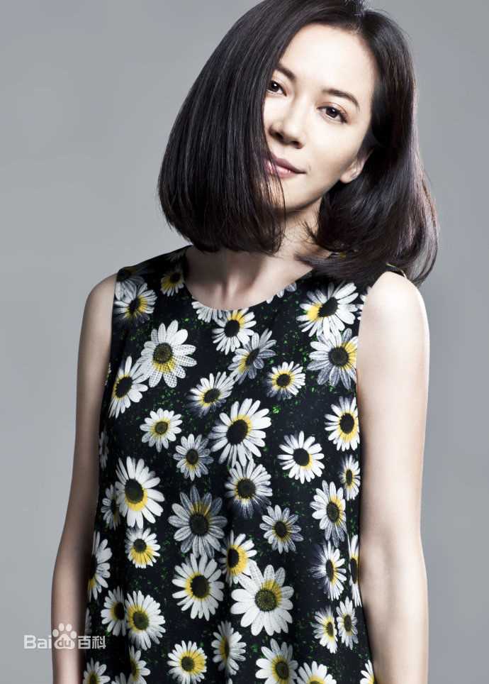 俞飞鸿(Faye Yu)精选图册