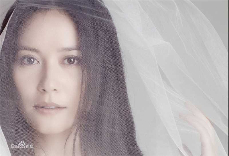 俞飞鸿(Faye Yu)精选图册