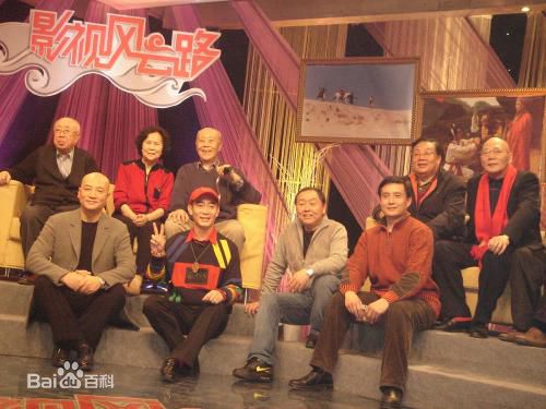 王伯昭(Wang Bozhao)最全剧照