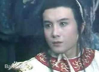 精选王伯昭(Wang Bozhao)