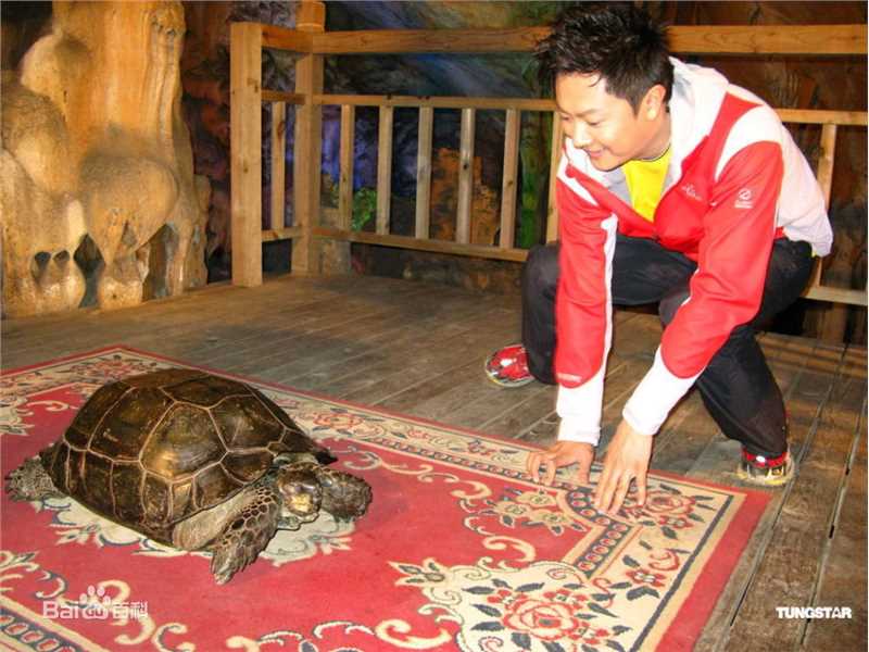 高清印小天精彩图册