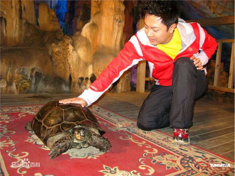 高清印小天精彩图册