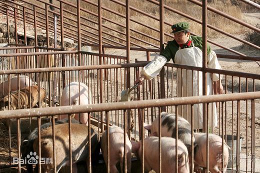 最优质印小天精彩图册