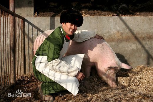 最优质印小天精彩图册