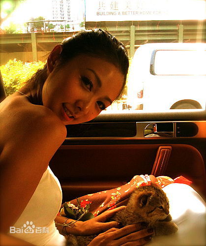 最新薛凯琪(Fiona Sit、Ar Fi、Fifi)精彩图册