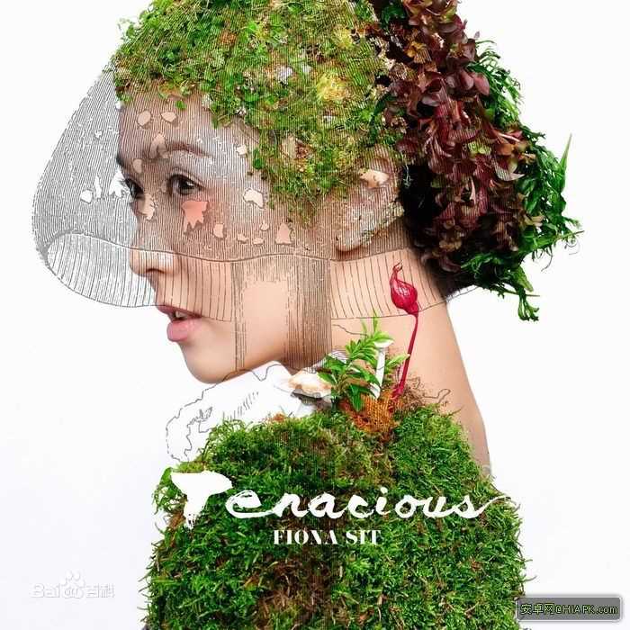 薛凯琪(Fiona Sit、Ar Fi、Fifi)前后照片