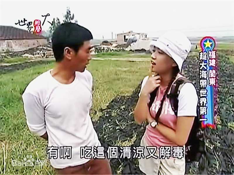 陈乔恩(Joe Chen)早期主持图册图片图集