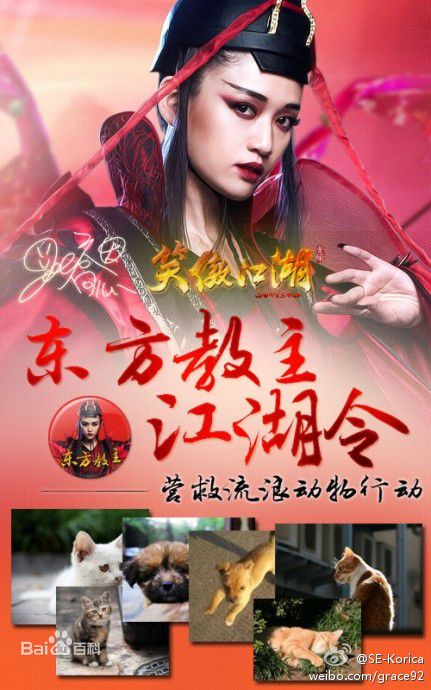 陈乔恩(Joe Chen)爱心公益前后照片