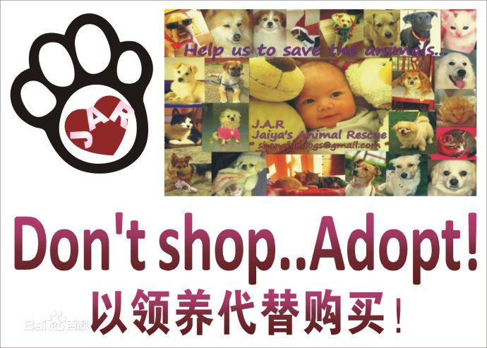 陈乔恩(Joe Chen)爱心公益前后照片