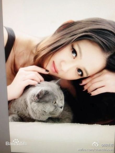 陈乔恩(Joe Chen)微博生活壁纸壁纸