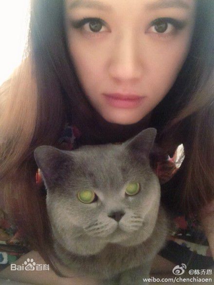 陈乔恩(Joe Chen)微博生活壁纸壁纸